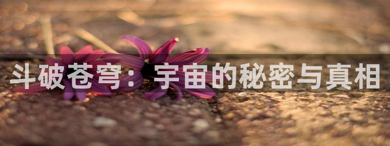 动漫天堂下载安装最新版